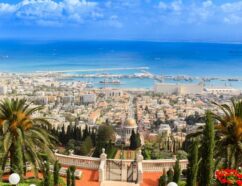 {{brizy_dc_image_alt imageSrc=